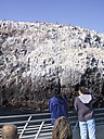 IMG_0102